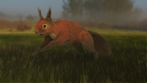 Red Squirrel preview image
